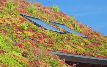 South Farnborough living roof systems